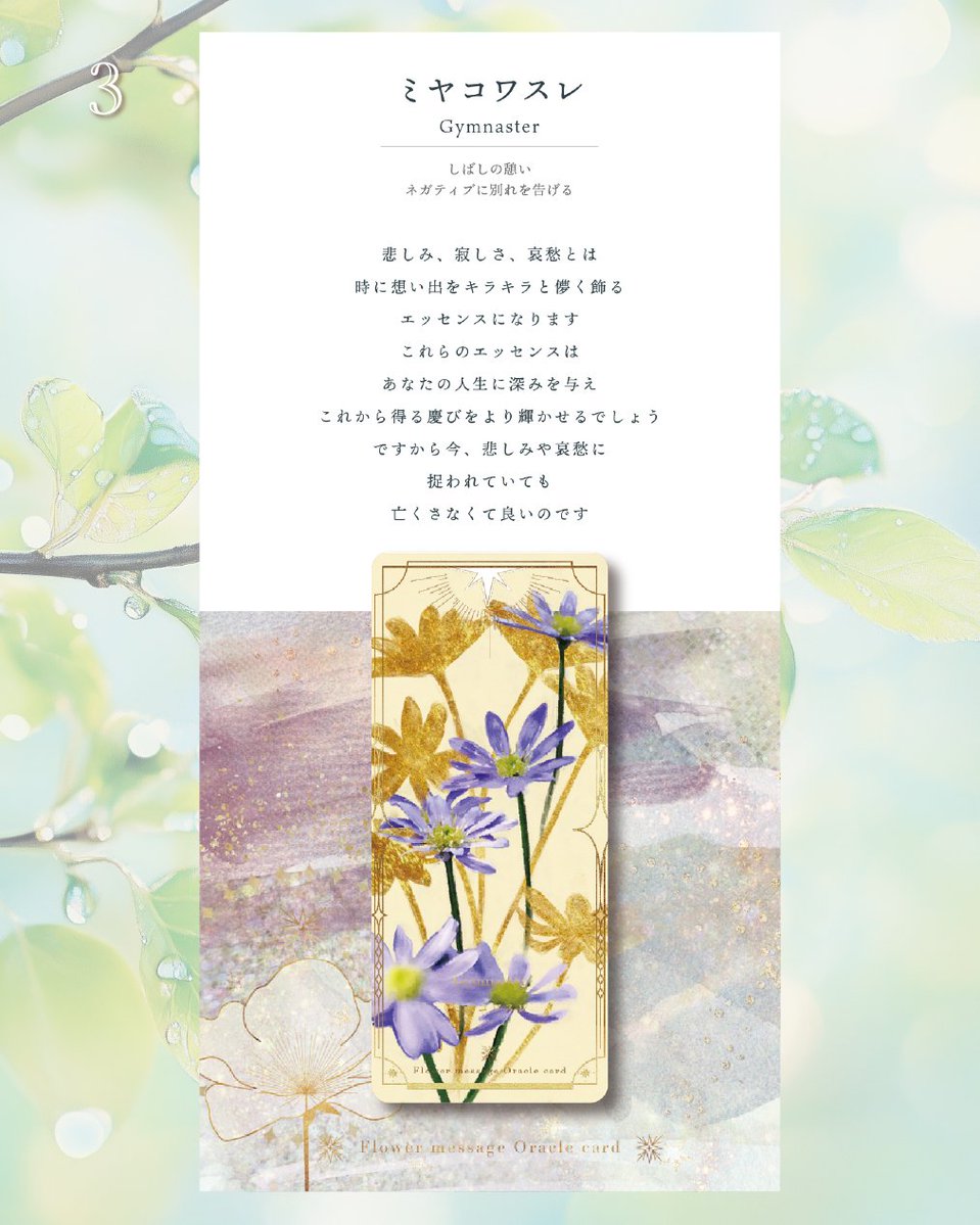 (画像内で)欲しいカードあったら言ってください。 Amazon.co.jp: デュエルマスターズ The邪悪 奇成ギョウ(スーパーレア