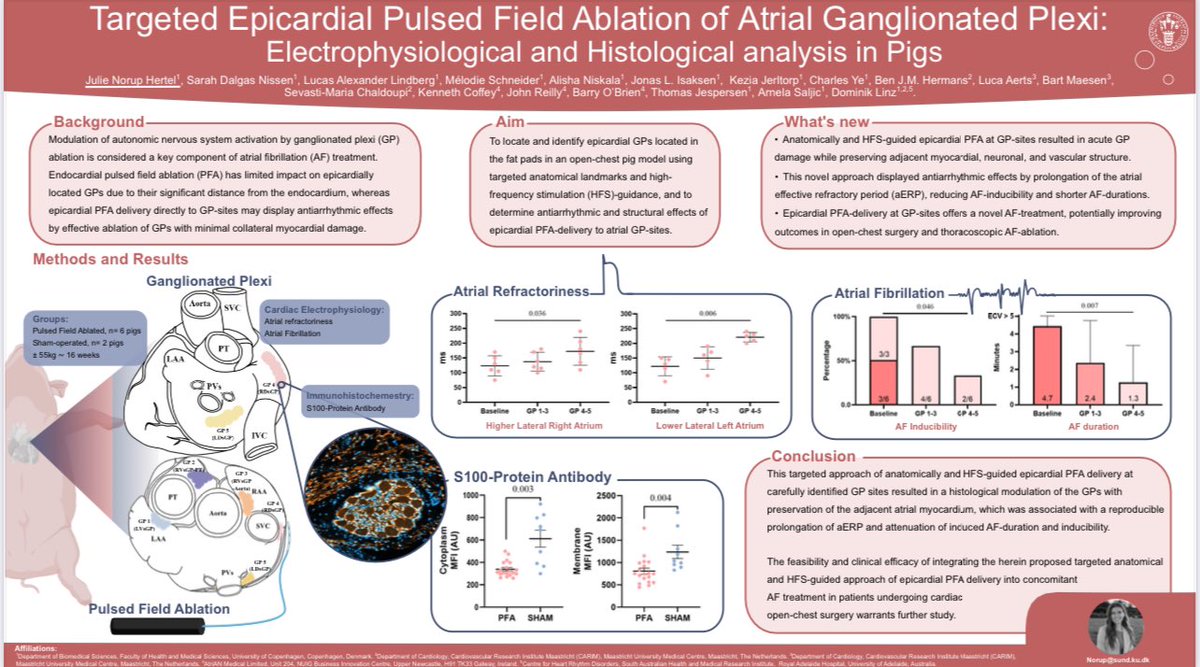 Dominik Linz tweet media