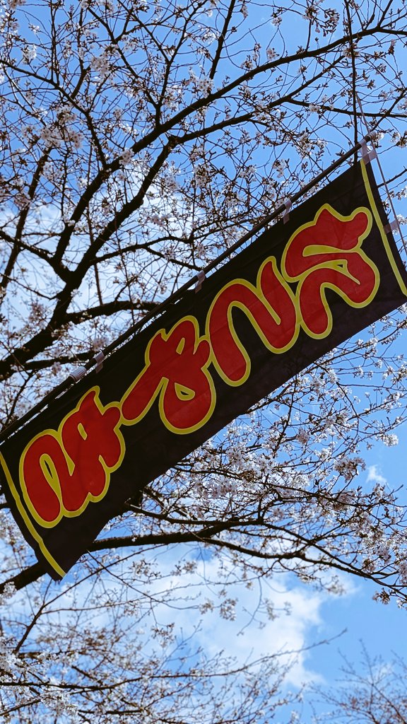 良い天気に綺麗な桜でした
#常盤平さくらまつり