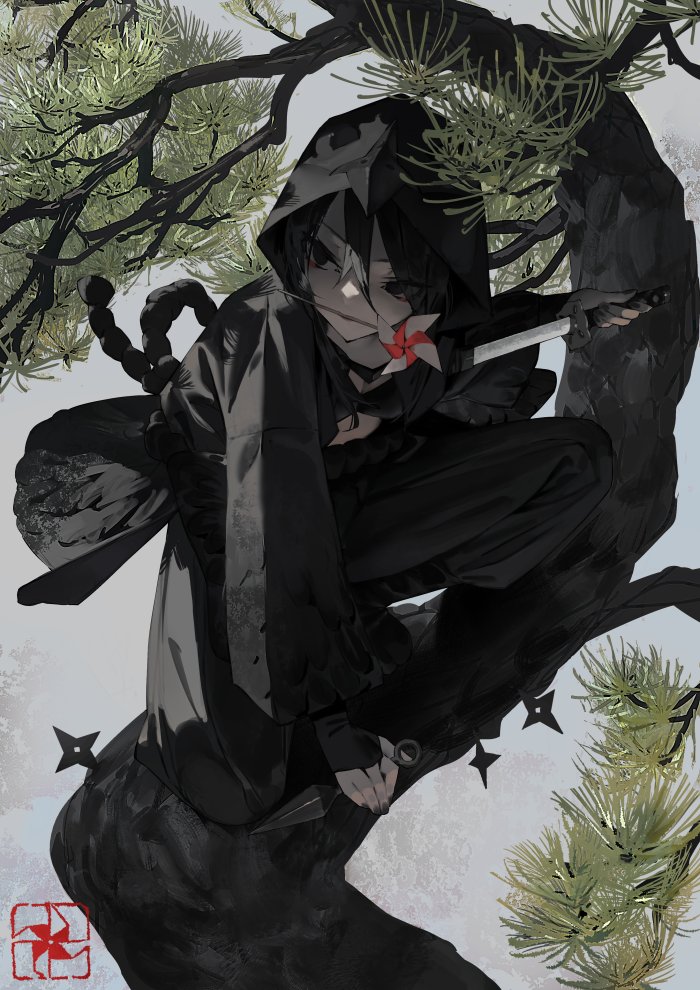 pp3S_'s tweet image. 烏
