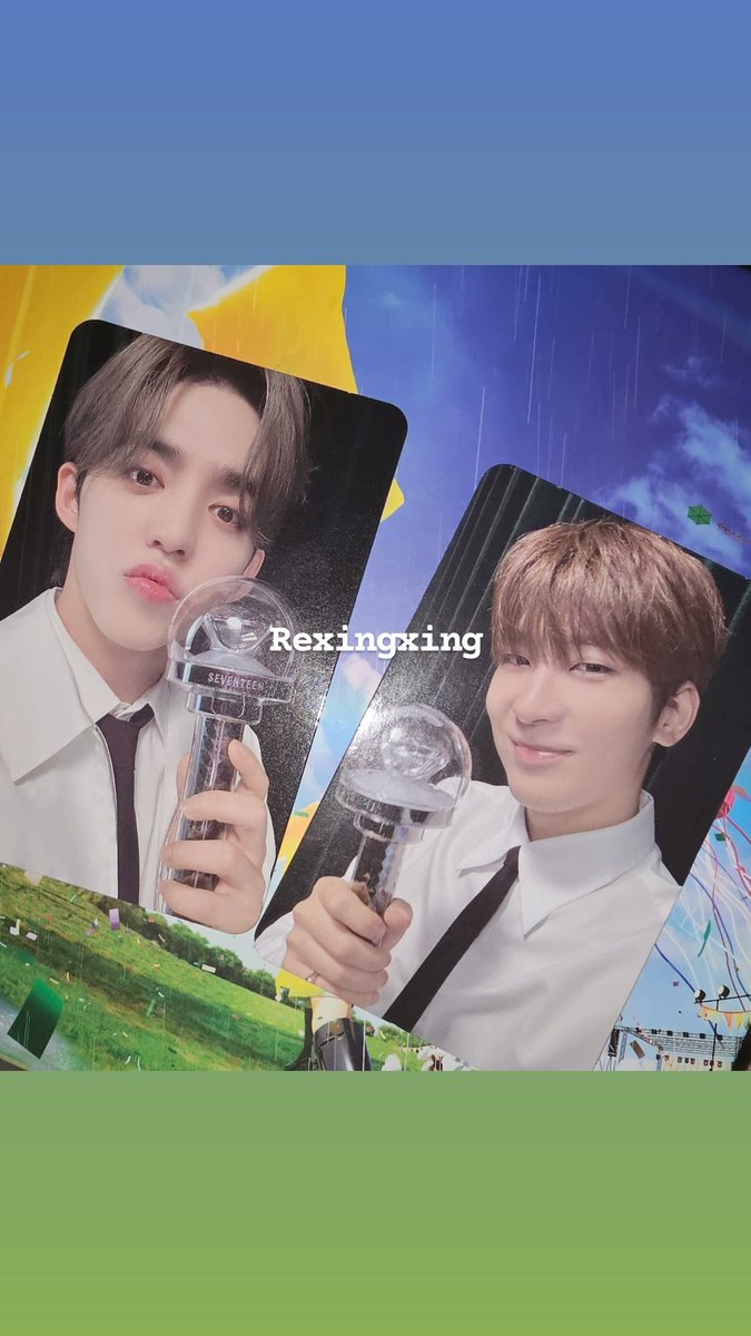 Baby bear~ tweet media