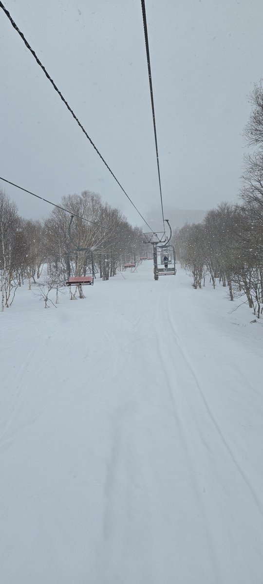 奥志賀高原は雪です
