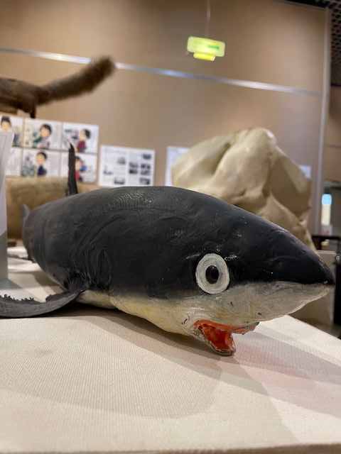 テーマ展「驚異の部屋～博物館の珍品・お宝大集合～」開催中?】 これ 