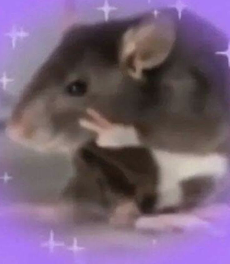 𝐍𝐚𝐫𝐮𝐦𝐢 𝐆𝐞𝐧 tweet media