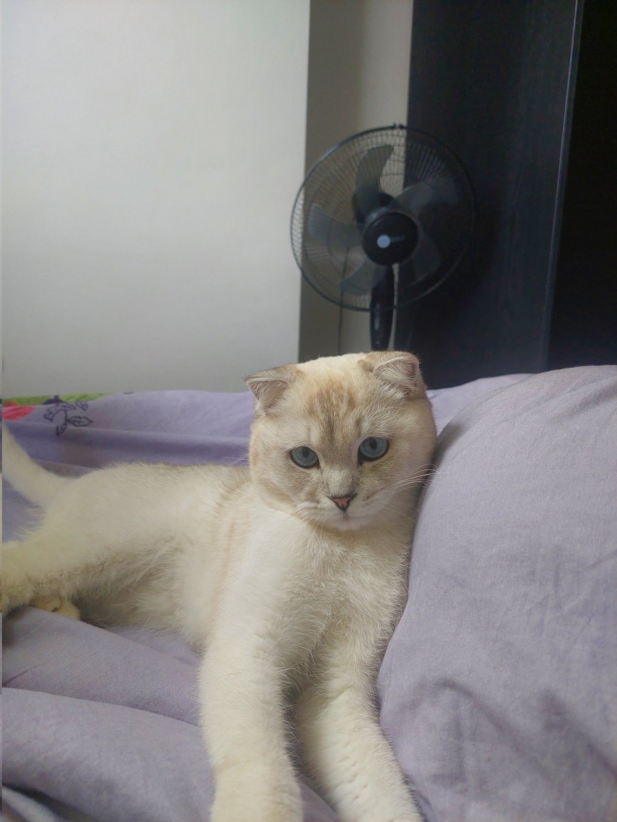 gümaydın iyi bayranlar