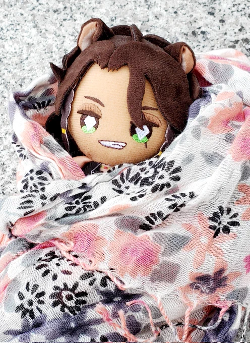 バブちゃんで終わり。花見散歩してた。 