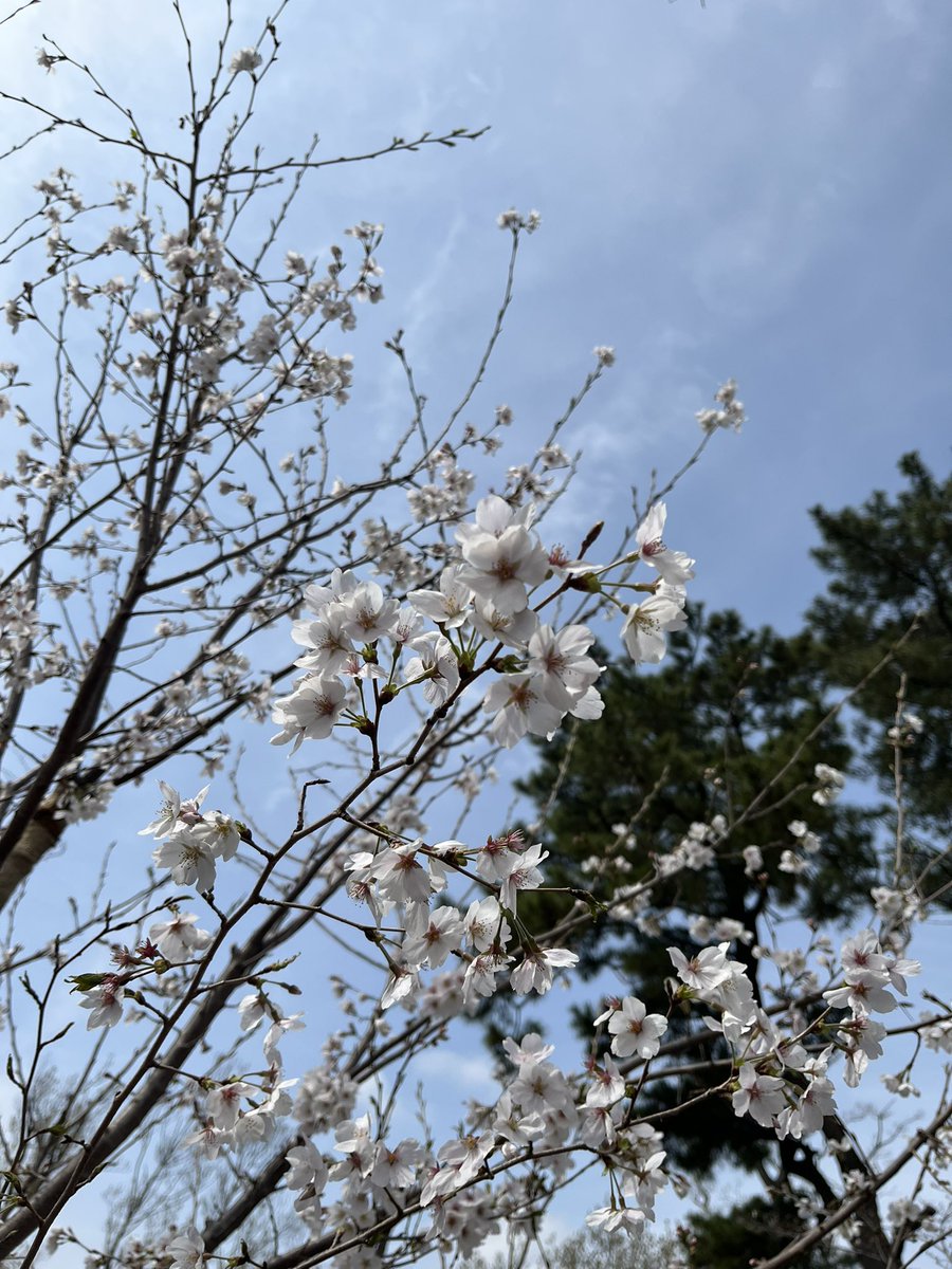 気持ちの良い日や