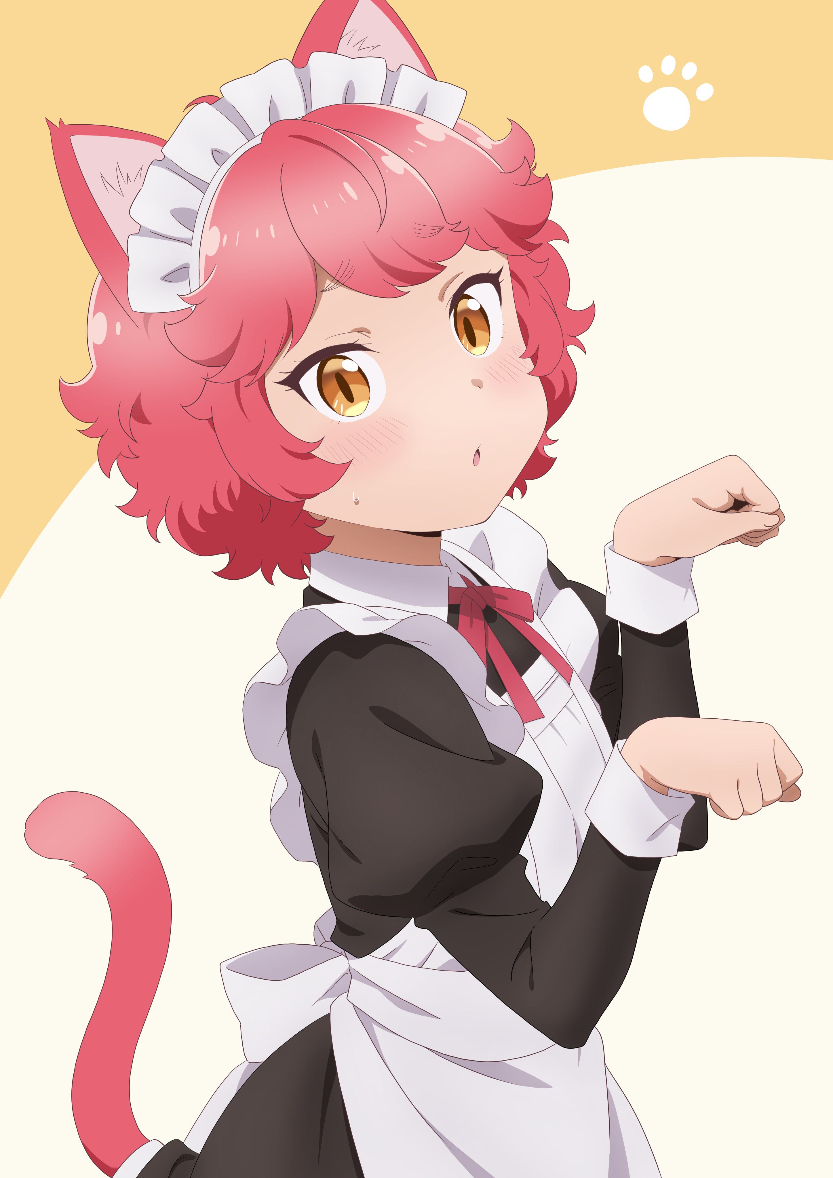 きじとら キジトラ (@kijitorab) / X