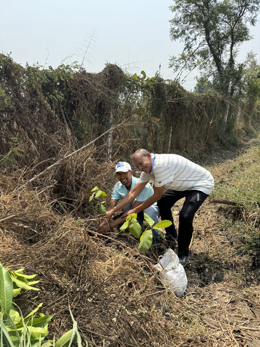 Tree plantation on this auspicious day