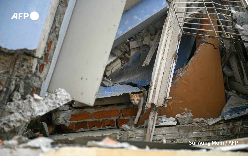 Dene-Hern Chen tweet media