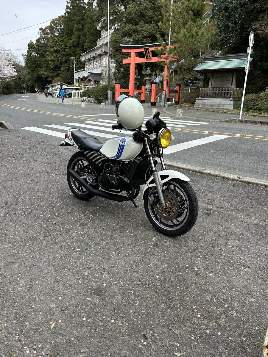 いつものみゃんまー