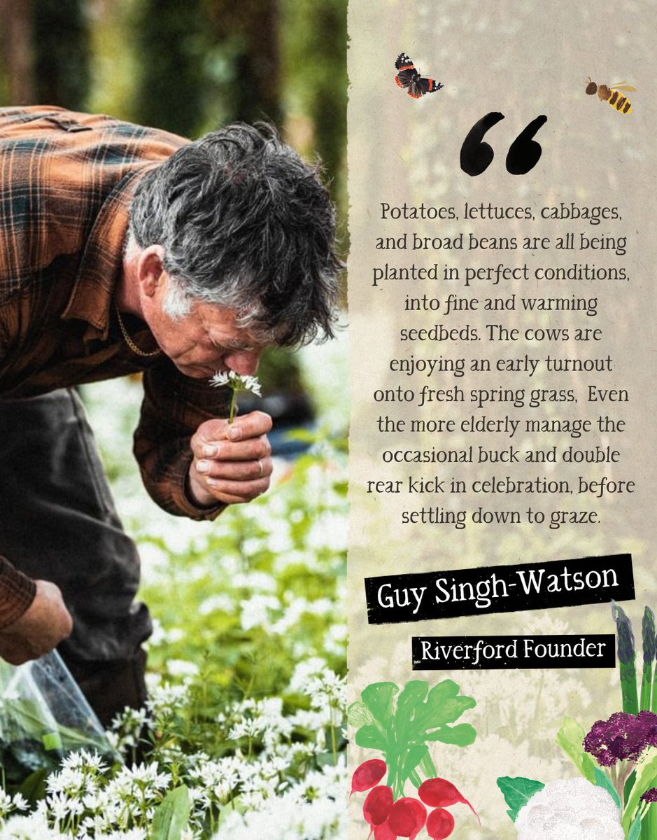 News from the farm: If every spring was like this...farming would be easy. 

wickedleeks.riverford.co.uk/opinion/news-f…