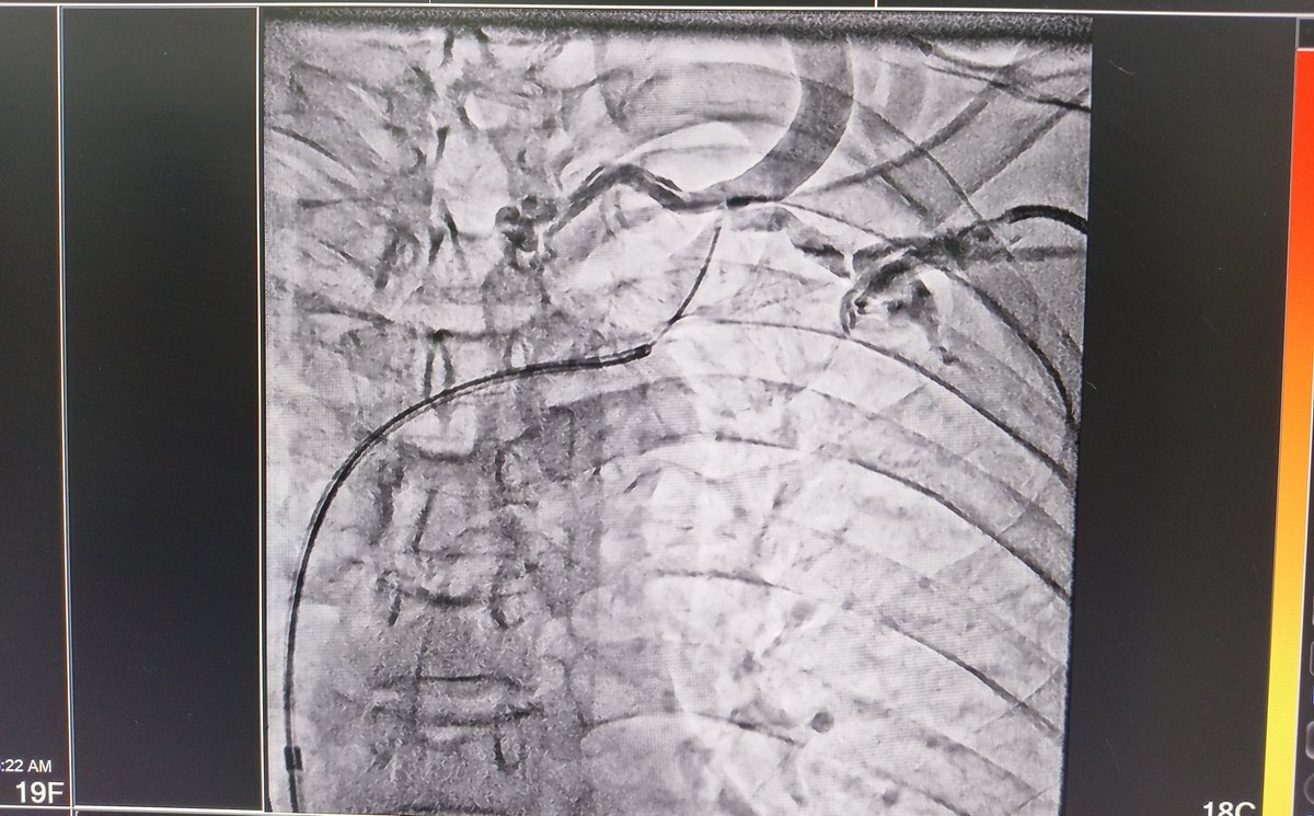 Dr Faizan Ahmed Ansari 🇮🇳 tweet media