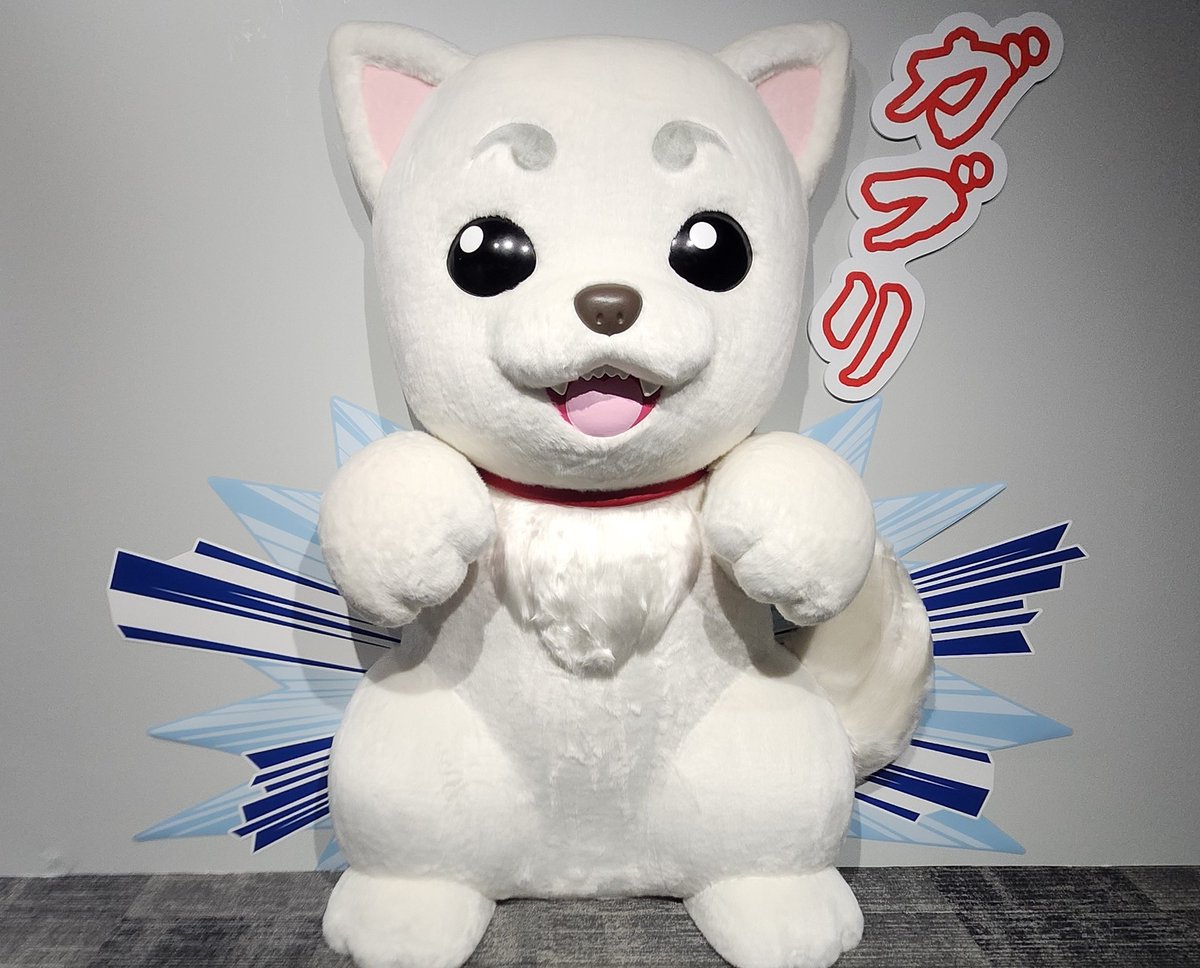 銀魂展 すこし前に行ったんだけど 
あまりにも最高だった 