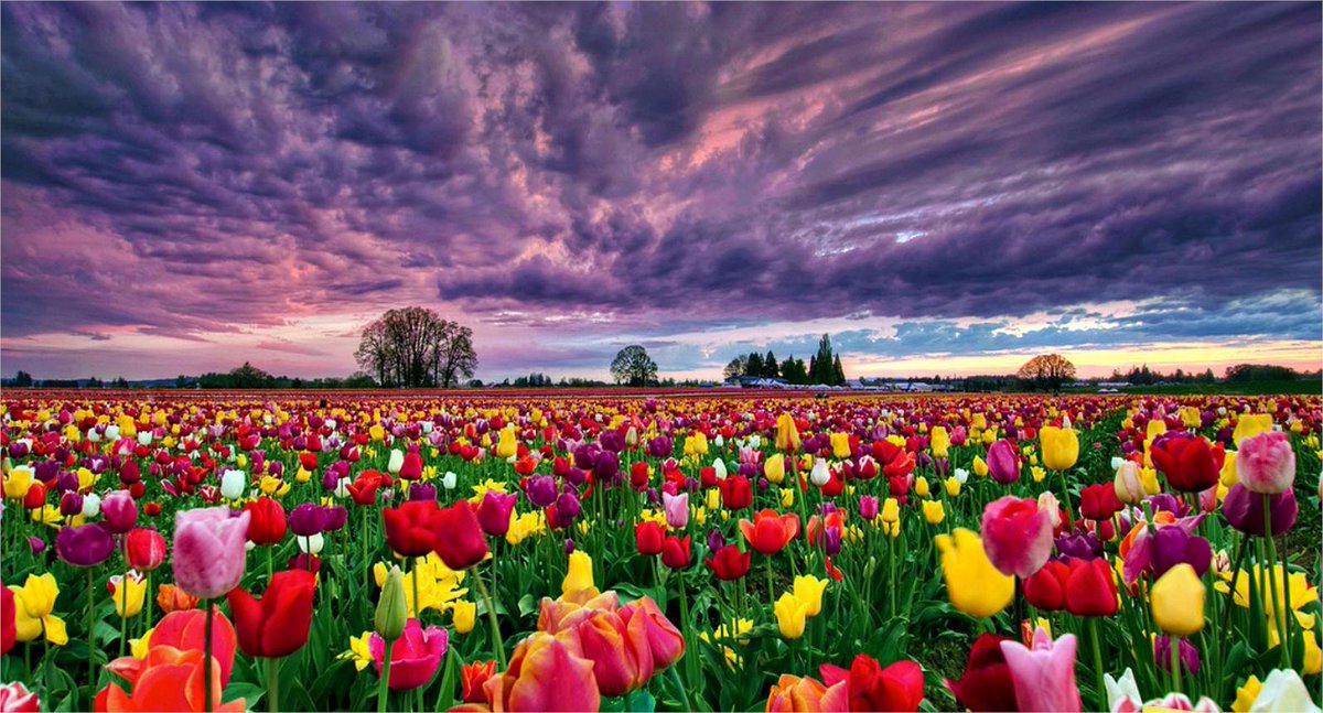 Çocukların güldüğü, gençlerin hayal kurduğu, haksızlıkların bittiği, zulmün yerini adaletin aldığı günler görmek umuduyla, hiç kimsenin ötekileştirilmediği ve tüm yüreklerin özgürce attığı bir bayram dileklerimle 🌷 🌸 🍀 🌻 #RamazanBayramı