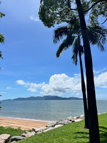 Sunday morning breakfast with a view.