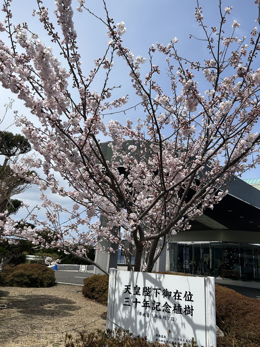 terukoCOSM's tweet photo. レゼル11人メンバー無事に千穐楽
山口県岩倉公演が始まってから半年間、
途中シンガポールまで行って
最後は笠置シヅ子さんの生誕の地にて
なんと笠置シヅ子さんの命日の今日　
千穐楽　
翼トップ御披露目として
千咲と華月の次が
7年目の有絢まこ以下8名　
初舞台2人もよく頑張りました㊗️ https://t.co/8TjR0C5qvO