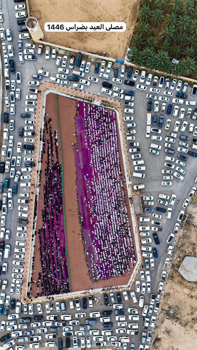 ضراس tweet media