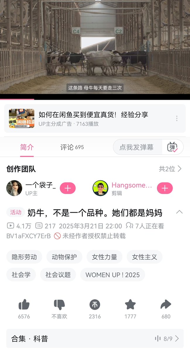 大漠孤鹰⛓ tweet media
