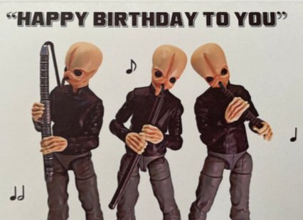 bev north tweet media