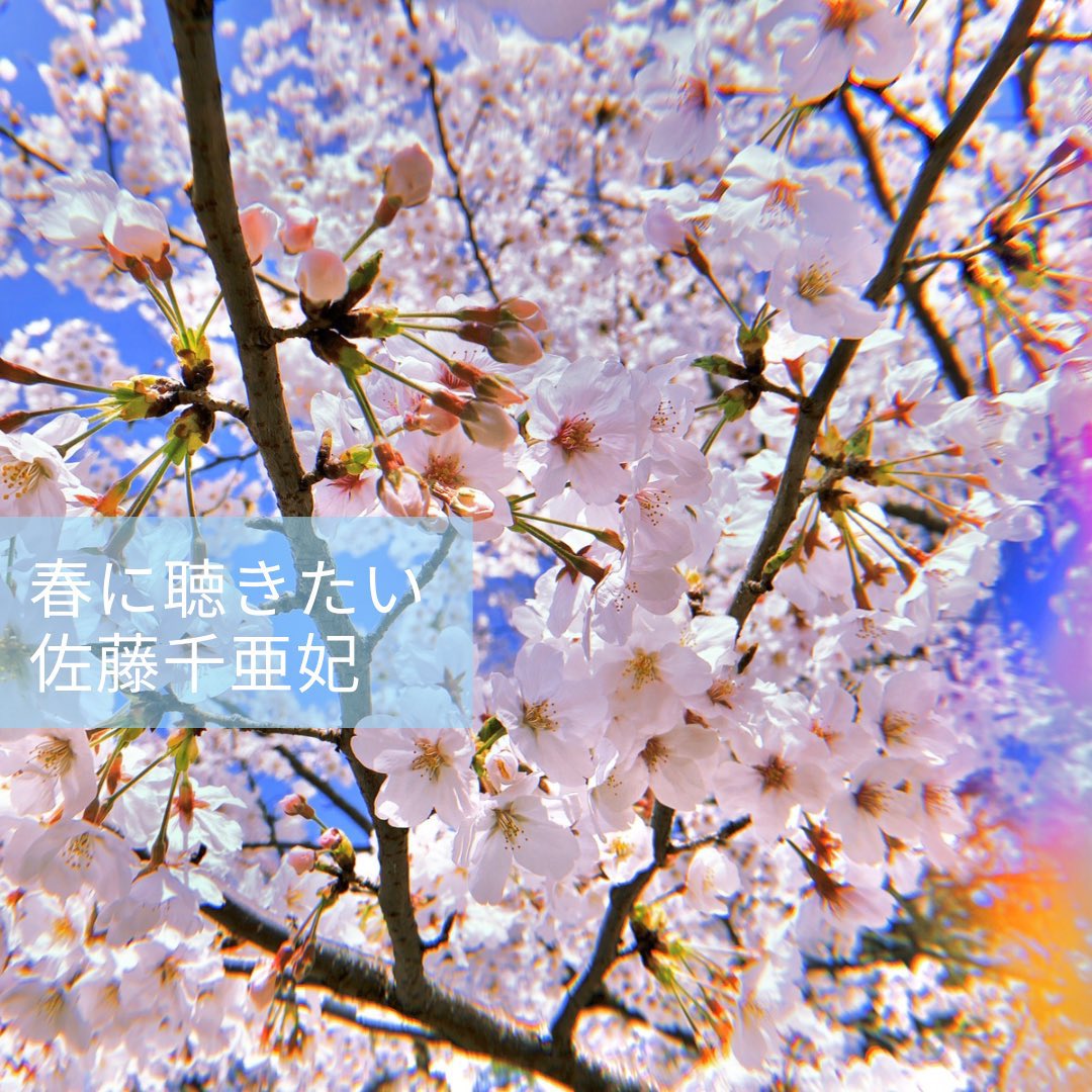 佐藤千亜妃 (@chiaki_sato0920) / X 佐藤千亜妃 (@chiaki_sato0920) / X