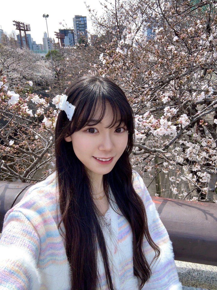 Post by まお*mao🍬 on X: 桜と私