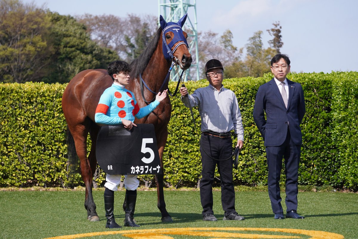 SILKHCofficial's tweet photo. 【今日の1枚】@中山競馬場

未勝利戦からの連勝でミモザ賞を制した　#カネラフィーナ

2番手から力強く抜け出しての快勝は、今までとは一味違うレース振りでした✨

皆様おめでとうございます🎉

#silkhc
#中山競馬場 https://t.co/TgF75wJwpD