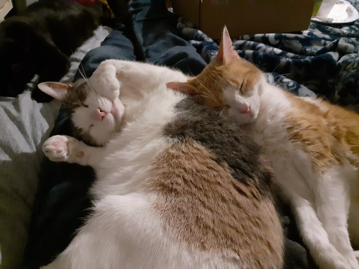 they SNUGGLED for once