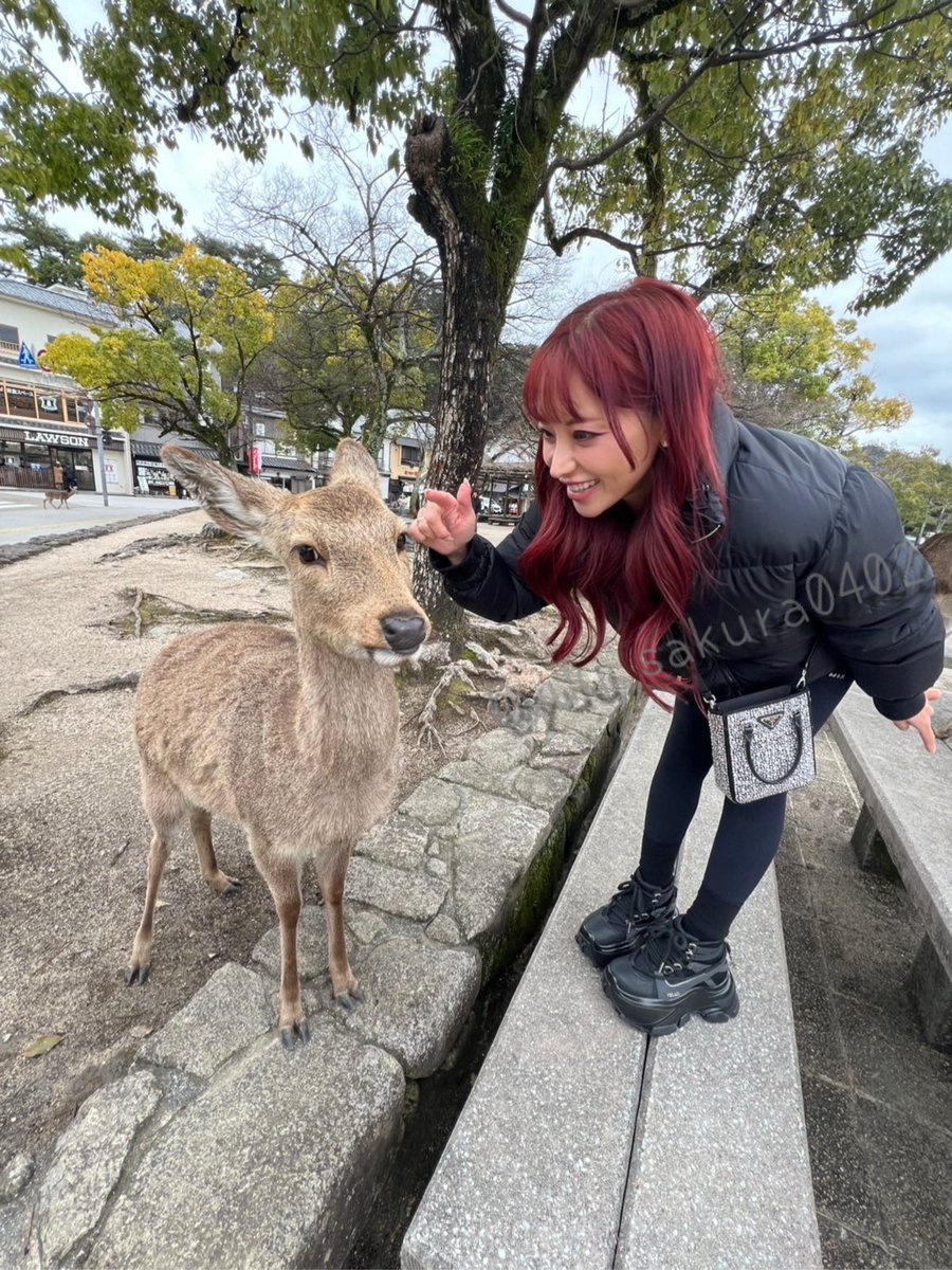 あー楽しくて美味しかったなぁ
広島🥹😍
また行きたいよぉ〜 https://t.co/dxluO5IvVE