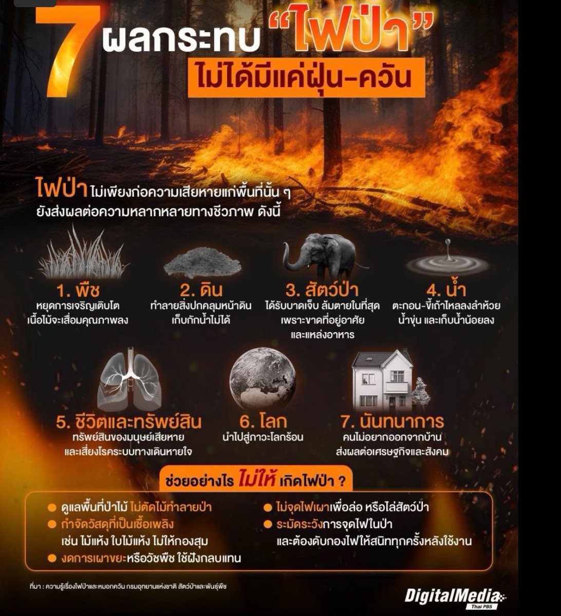 xununx2's tweet image. ช่วยกระจายข่าวนะคะ ฝากทุกคนหันมาสนใจกันหน่อยนะคะ 🙏🏻

‼️ #ไฟไหม้ป่า ตอนนี้เริ่มลามไปถึงจังหวัดอื่นนอกเหนือจากภาคเหนือ ไปสู่ภาคอีสานและภาคกลางตอนบนแล้วค่ะ

‼️ #น้ำท่วมโคราช ข้อมูลจากเพจ Korat : เมืองที่คุณสร้างได้ ตอนนี้น้ำกำลังรอระบายอยู่ค่ะ