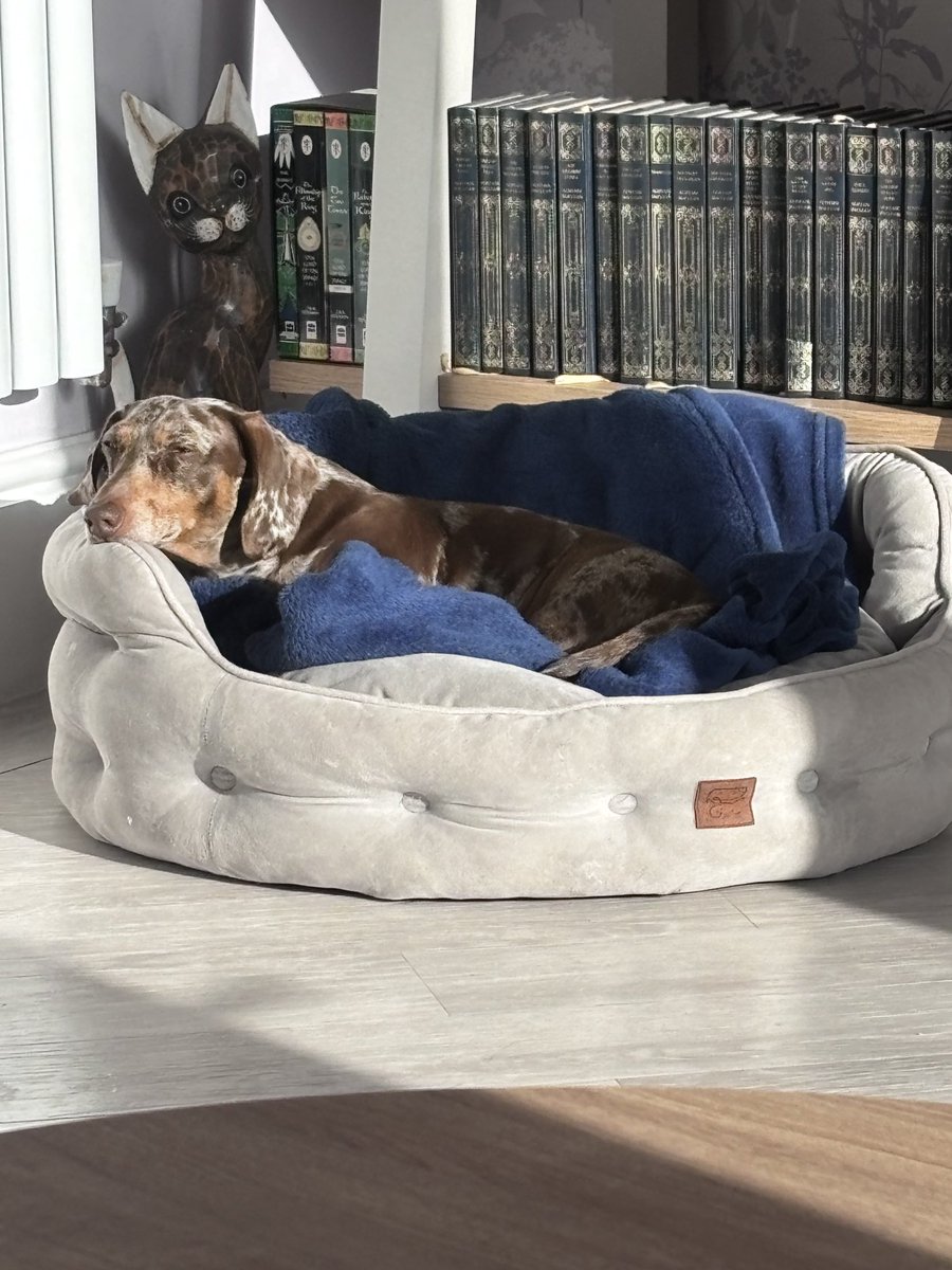 Happy hoomum day. Lots of cuddles and kisses for hoomums everywhere. Time to snooze in a sunpuddle