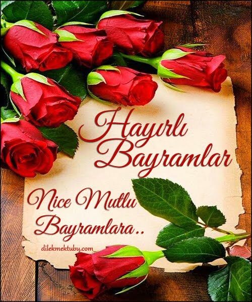 @AliseRezistans (@aliserezistans1) on Twitter photo 