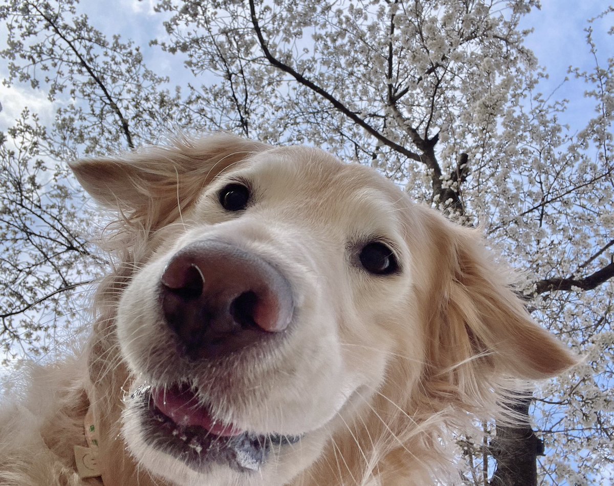 ruby_sm_'s tweet image. 🌸