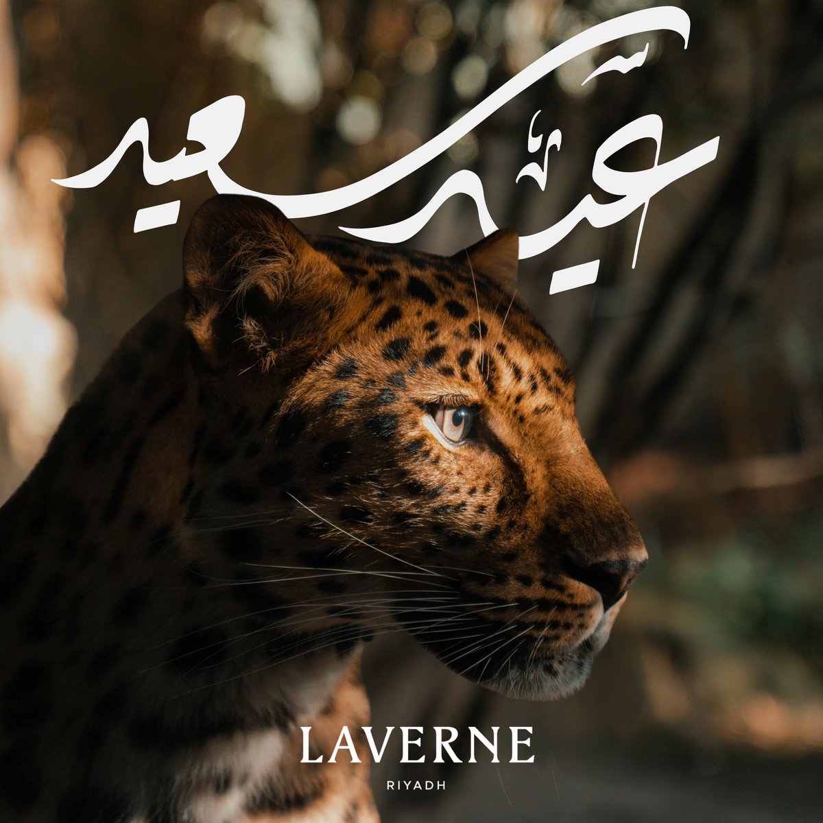 نتمنى لكم في لافيرن عيدًا سعيدًا 🐆