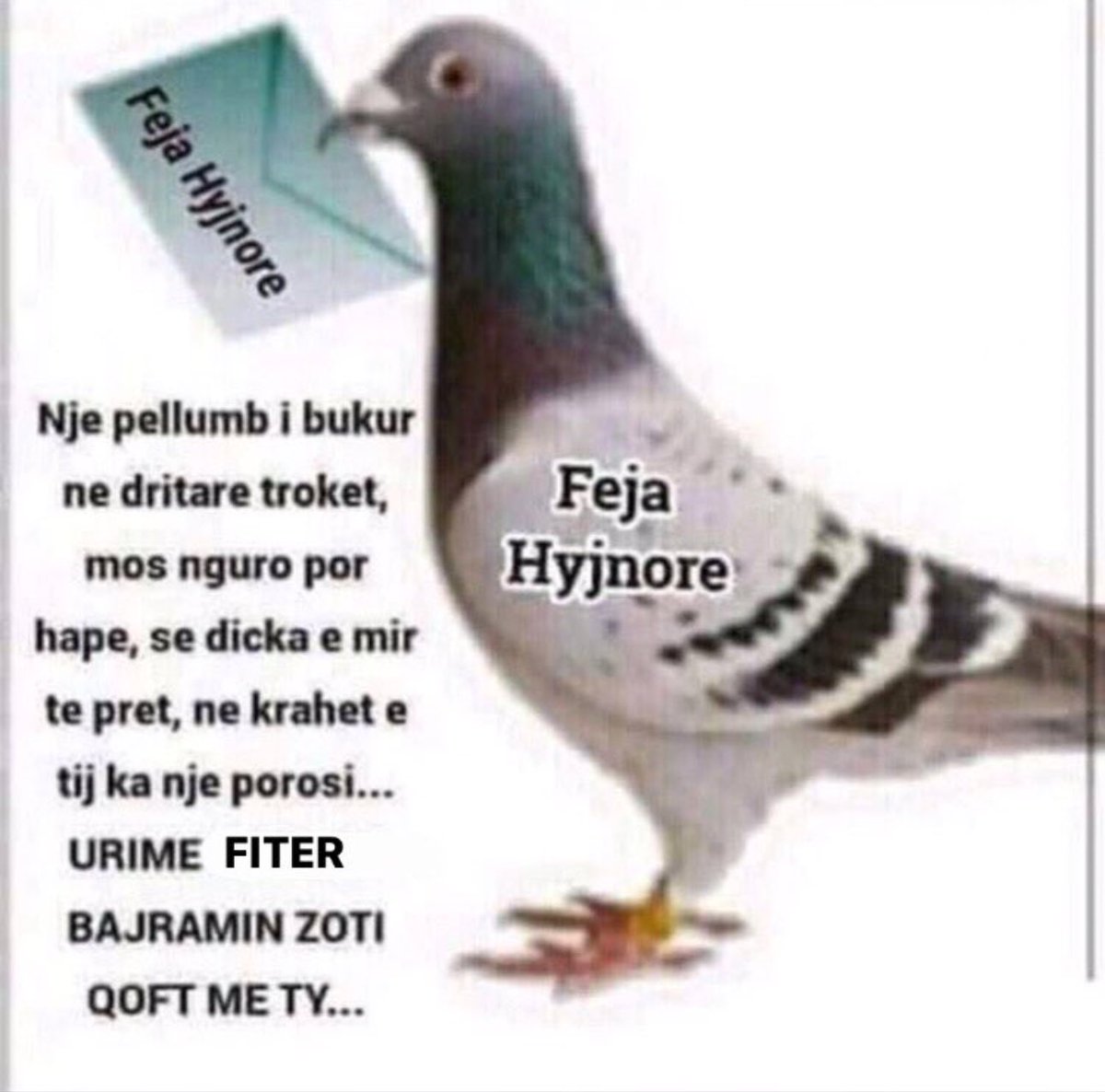 simppssoon's tweet image. 