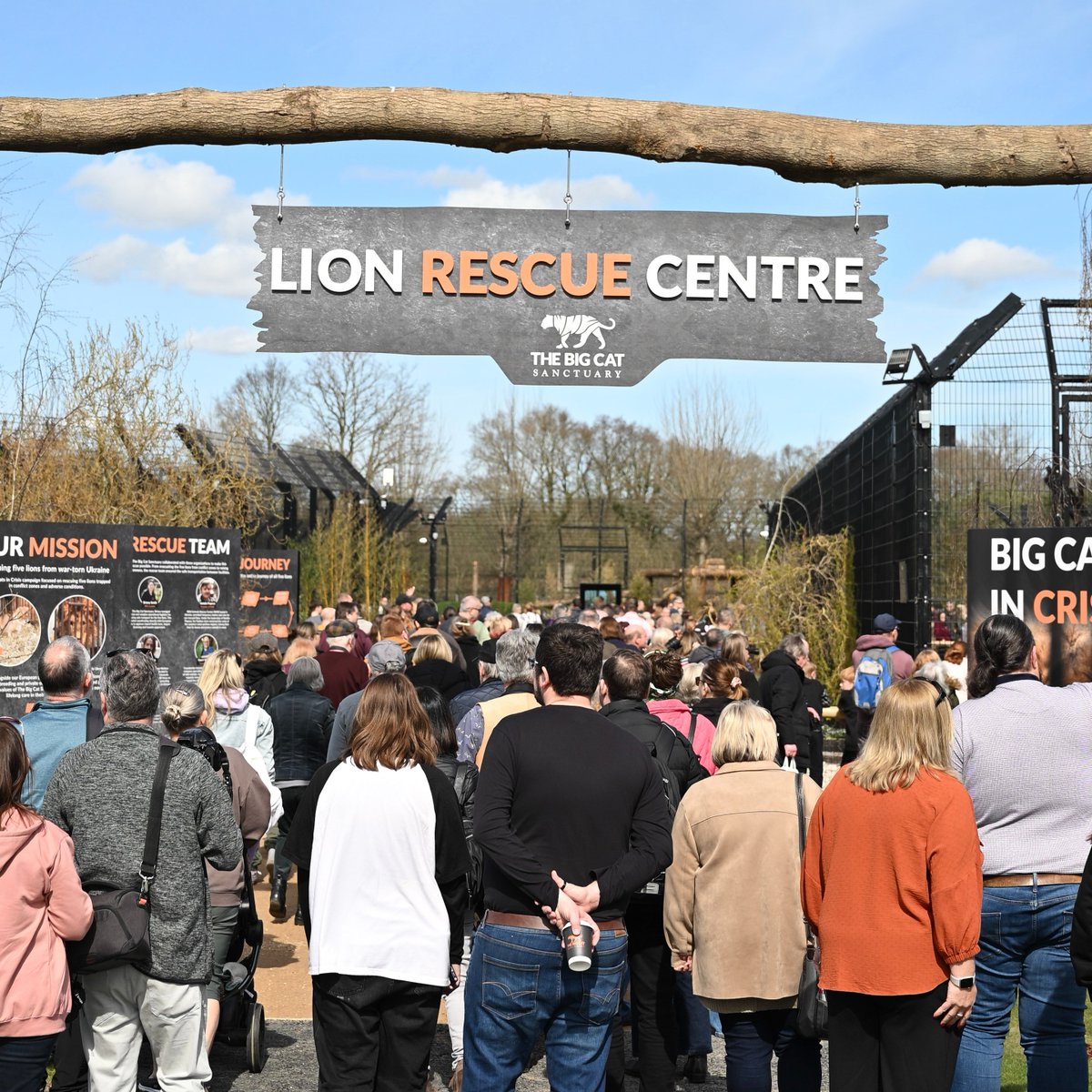 TheBigCatSanct's tweet image. Our First Members’ Day of 2025! 🌟

What a fantastic day we’ve had! The sun shone brightly as we welcomed our Members, who explored the Sanctuary while meeting the beautiful wild cats. ☀️

Not a member yet? Make a difference and join today via the link in our bio!

#bigcats