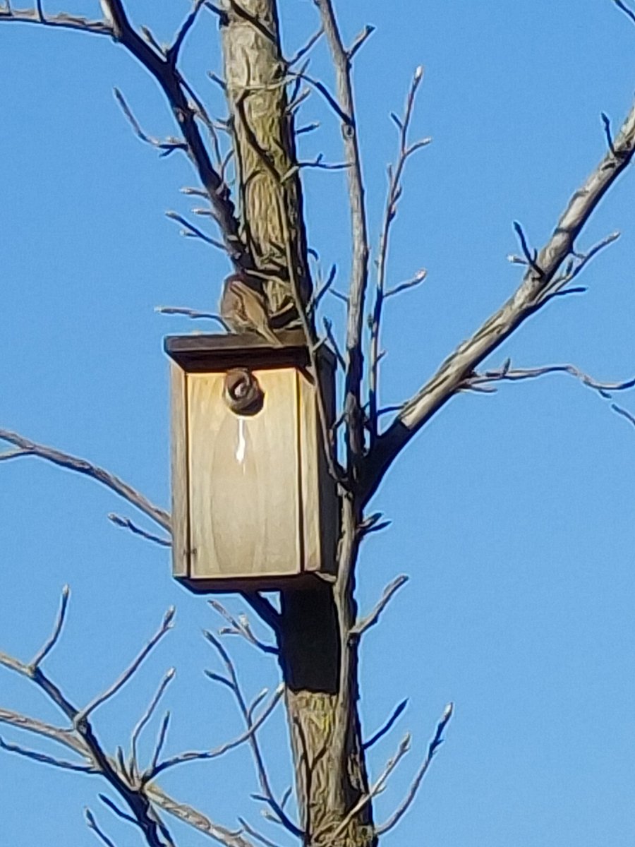 Ja tornem a tenir els càrrecs instalats!