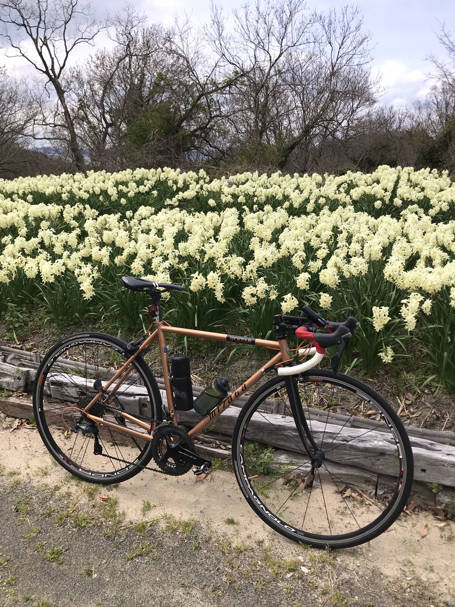 ranpitsu5men's tweet photo. #cycling #MIYATA#miyatabikes 
#スポルツアー
#selleitalia #SP-01
#ミヤタサイクル#サイクリング
#サイクリスト#ロードバイク https://t.co/SgBjR7VmyG