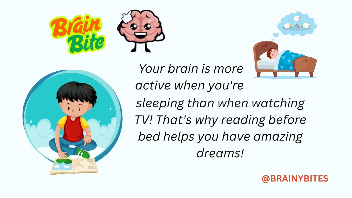 kidXbrainybites's tweet photo. 🧠 BRAIN BITE!

What’s your child’s favorite bedtime story?

Explore our collections: https://t.co/w3cEfgijpA

#KidsBooks #BrainFacts #BedtimeReading https://t.co/UG6vvcvSIY