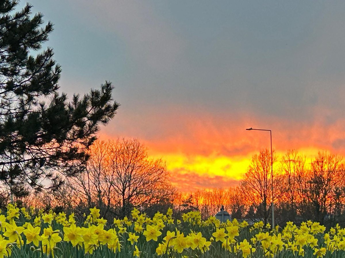 🌼Happy Mothers Day🌼 First since losing my mum last year &amp; has left me reflecting. I celebrate all the wonderful mums, heavenly mums &amp; everyone who fulfils the role. nothing lovelier some beautiful shots Priorslee Photography Club. Credit to Alan Rajesh Charlie Manuel Phil