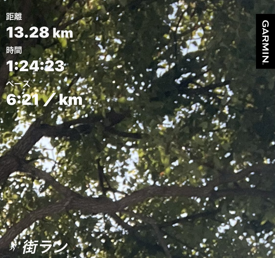今日は昼ランを13.2K。故障箇所がまだ少し痛むので無理のないペースで街ランです🏃‍♂️