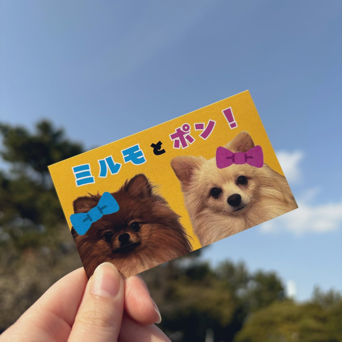 水野 朔🐟 on X: 水野 朔🐟 on X: