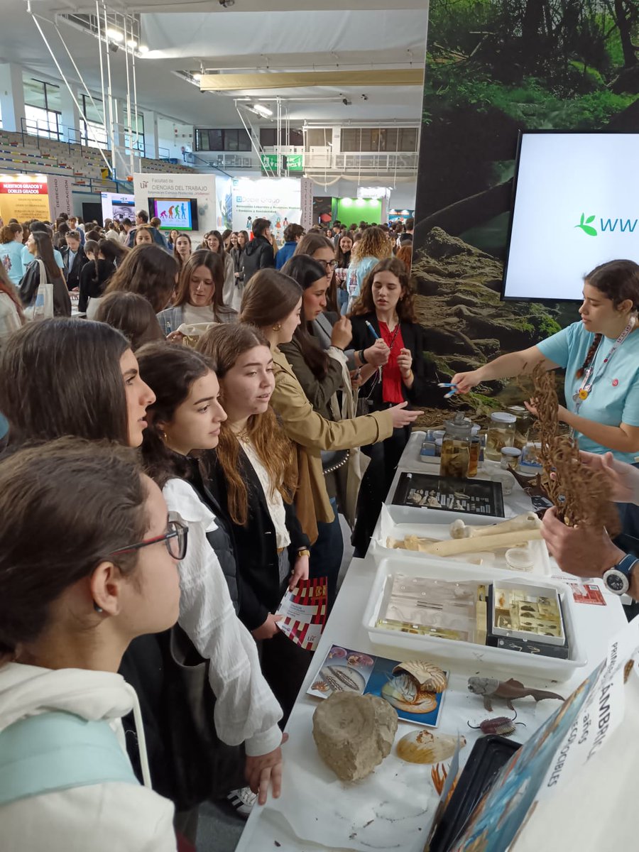 SAFAURSEVILLA's tweet image. Nuestros alumnos en Ferisports @ferisports5  @ampasafaursevilla
@dtonervion
@nervionaldia
@abcdesevilla
#sevilla #nervion #infantil #primaria #eso #bachillerato