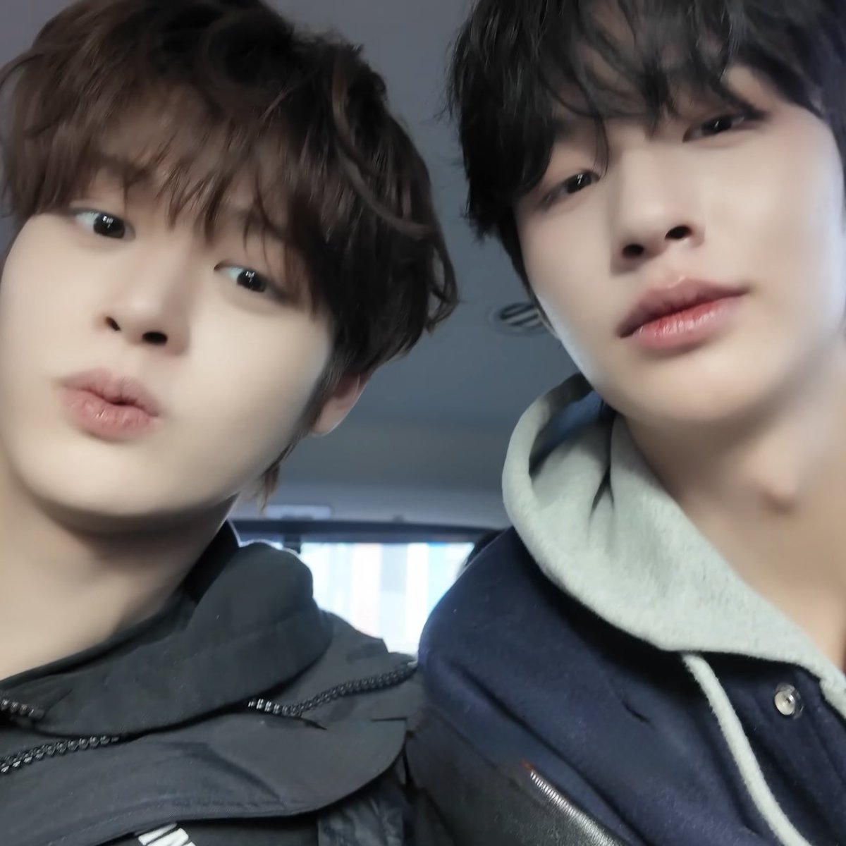 🐧🐰