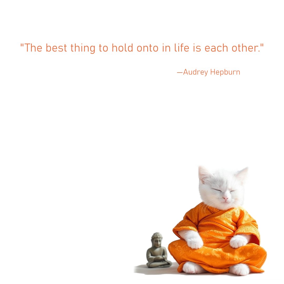 Zen Cats quote of the day about each other.

#motivation #quoteoftheday #lifequotes #quotesoftheday #quotestags #quoteslover #lifequotes #friends #quotesaboutlife