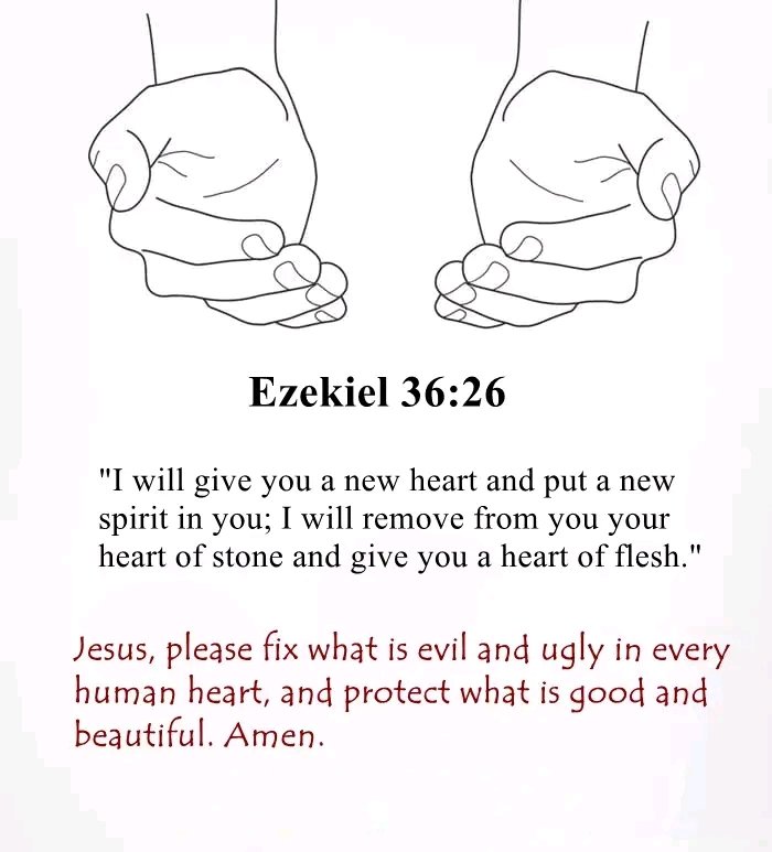 Holy__Bible1's tweet photo. Ezekiel 36:26 https://t.co/RY6wxevX1r