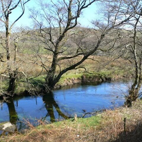 TheNatureFund's tweet image. Seven out of nine protected river systems in Wales failing phosphate tests #rivers #RiverPollution #phosphate #Wales

naturalworldfund.com/seven-out-of-n…