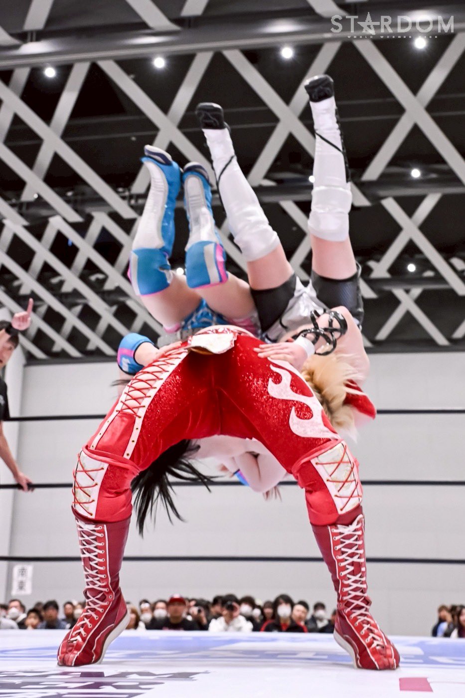 定番のお歳暮＆冬ギフト スターダム 女子プロレス ビジュアル