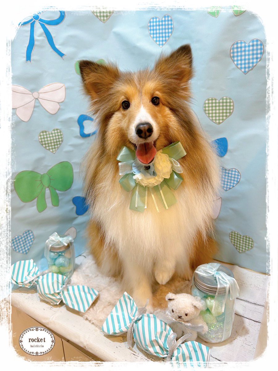 ふわふわモネちん