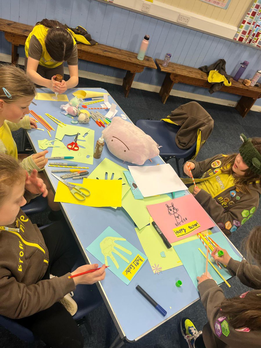 3rd Burgess Hill Brownies tweet media